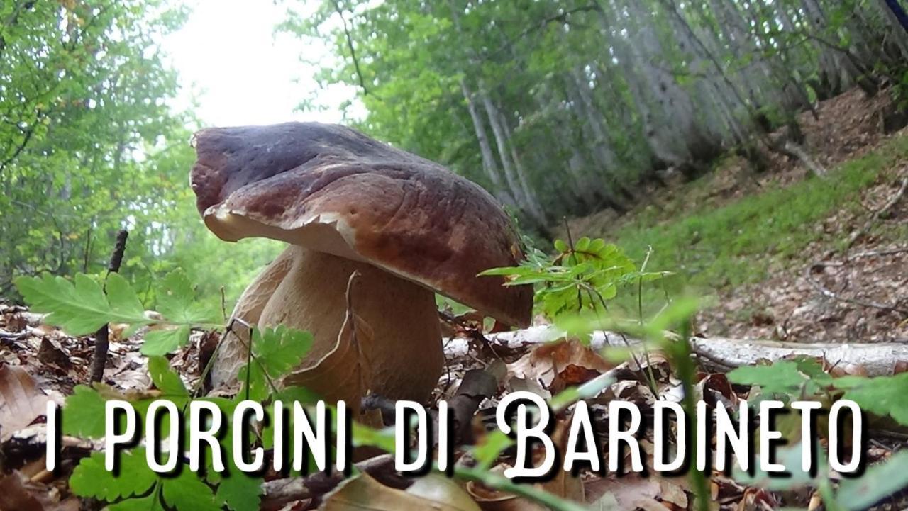 Kalimera Bardineto Eksteriør bilde